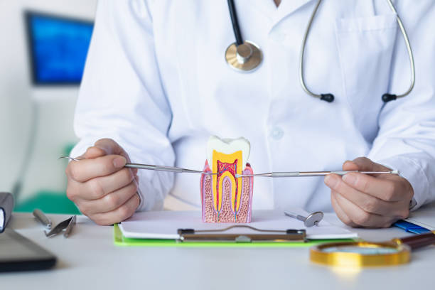 Best Broken or Chipped Tooth Repair in Womelsdorf, PA